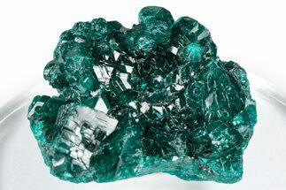 Sparkly Emerald-Green Dioptase Crystal Cluster - Congo #347856