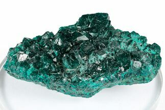 Sparkly Emerald-Green Dioptase Crystal Cluster - Congo #347877