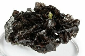 Sharp Axinite Crystal Cluster with Green Epidote - Peru #347906