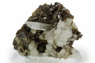 Quartz Crystals on Axinite - Peru #347879