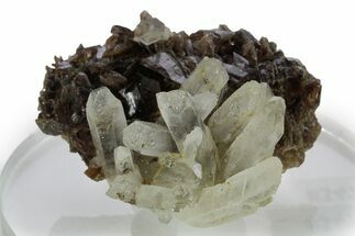 Quartz Crystals on Sharp Axinite Crystal Cluster - Peru #347880