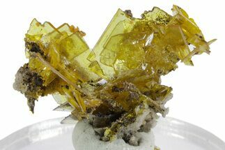 Glassy Yellow-Orange Wulfenite Crystal Cluster - Mexico #347995