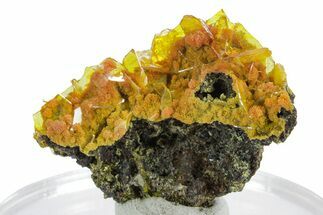 Botryoidal Orange Mimetite on Windowpane Wulfenite - Mexico #348006