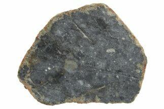 Lunar Meteorite ( g) Slice - Bechar #348171