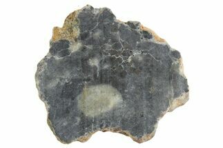 Lunar Meteorite ( g) Slice - Bechar #348184