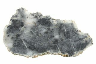 Lunar Meteorite ( g) Slice - Bechar #348188