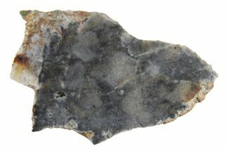 Lunar Meteorite ( g) Section - Bechar #348191
