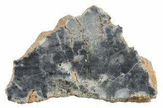 Bechar 003 Meteorites For Sale