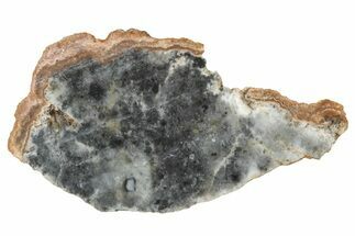 Lunar Meteorite ( g) Section - Bechar #348205