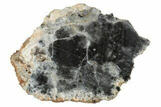 Lunar Meteorite ( g) Section - Bechar #348208