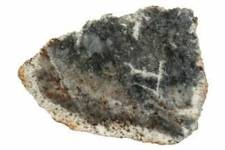 Lunar Meteorite ( g) Section - Bechar #348209