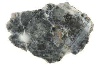 Lunar Meteorite ( g) Section - Bechar #348211