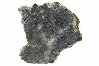 Lunar Meteorite ( g) Slice - Bechar #348214