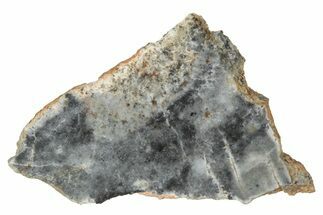 Lunar Meteorite ( g) Slice - Bechar #348220