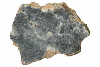 Lunar Meteorite ( g) Slice - Bechar #348222