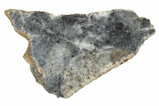 Lunar Meteorite ( g) Slice - Bechar #348223