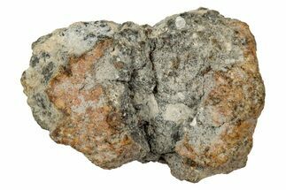 Howardite Meteorite ( g) - Bechar #348281