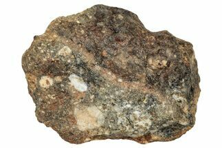 Howardite Meteorite ( g) - Bechar #348293