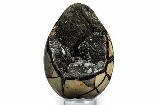 Septarian Dragon Egg Geode - Sparkly Black Crystals #348448