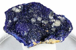 Cerussite Crystals on Sparkling Azurite - Congo #348521