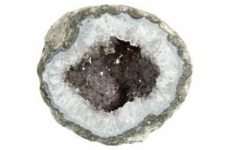 Las Choyas Coconut Geode Half with Smoky Amethyst - Mexico #348468
