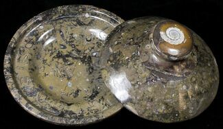 Fossil Goniatite Dish with Lid - Stoneware #18253