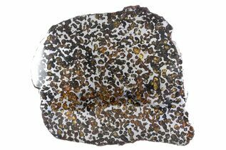 Pallasites For Sale