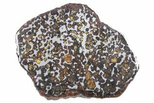 Pallasites For Sale