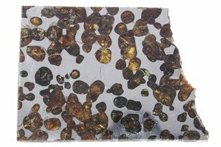 Polished Sericho Pallasite Meteorite ( g) Slice - Kenya #348916