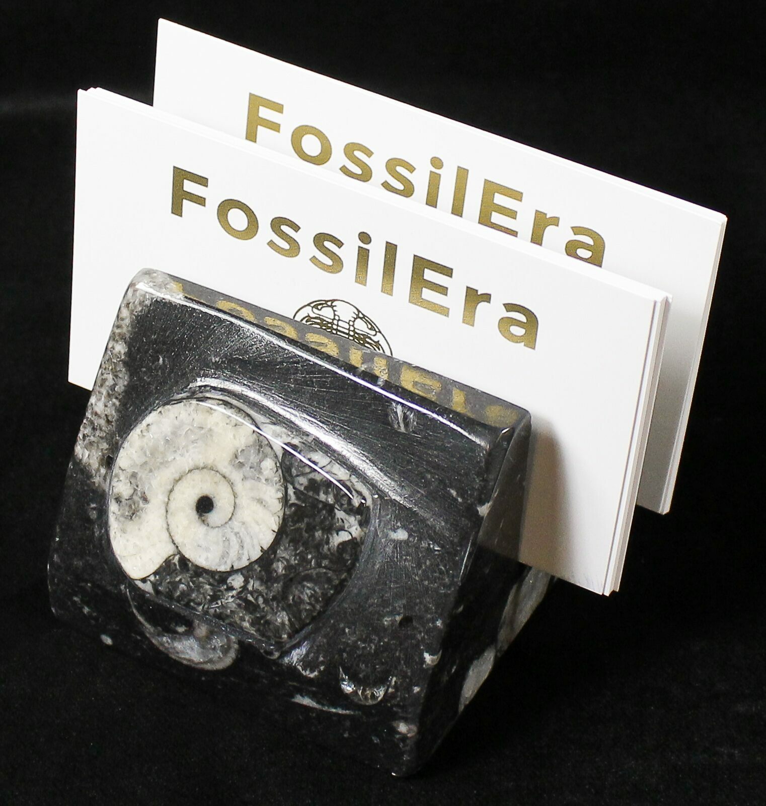 Goniatite & Orthoceras Fossil Card Holder (18268) For Sale
