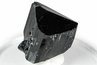Lustrous Black Tourmaline (Schorl) Crystal - Namibia #348748