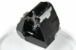 Smoky Quartz on Double-Terminated Black Tourmaline - Namibia #348750