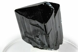Hyalite Opal on Black Tourmaline (Schorl) Crystal - Namibia #348752