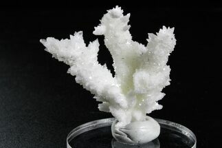 Sparkling Cave Calcite (Aragonite) Specimen - Potosi Mine, Mexico #347372