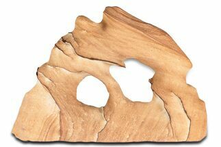 Wide Picture Sandstone Arch - Arizona #349178