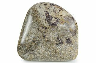 Polished Dinosaur Bone (Gembone) - Morocco #349611