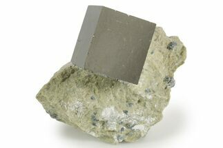 Natural Pyrite Cube In Rock - Navajun, Spain #337870