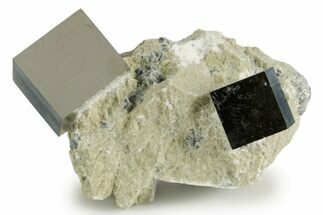 Two Natural Pyrite Cubes In Rock - Navajun, Spain #337882