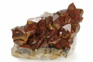 Thunder Bay Smoky Amethyst Cluster with Hematite - Canada #349923