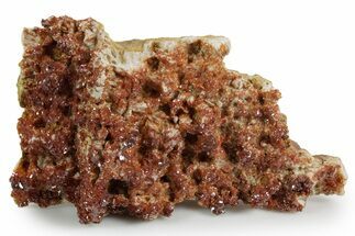 Glittering Ruby Red Vanadinite Crystals on Barite - Morocco #349430