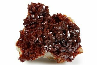 Glittering Ruby Red Vanadinite Crystals on Barite - Morocco #349440
