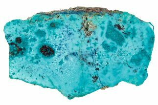 Vibrant Chrysocolla and Shattuckite Section - Mexico #348766