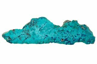 Vibrant Chrysocolla and Shattuckite Section - Mexico #348767