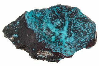 Vibrant Chrysocolla and Shattuckite Section - Mexico #348771
