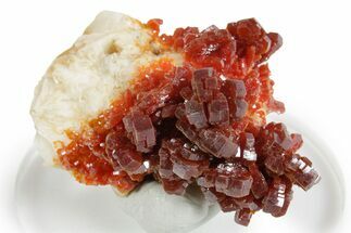 Glittering Ruby Red Vanadinite Crystals on Barite - Morocco #349460