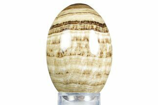 Swirling Polished Chocolate Calcite Egg - Pakistan #350176