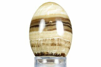 Swirling Polished Chocolate Calcite Egg - Pakistan #350178