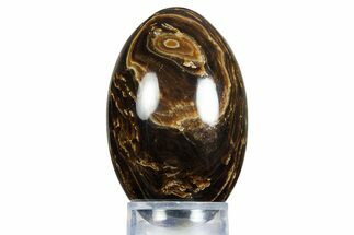 Swirling Polished Chocolate Calcite Egg - Pakistan #350179