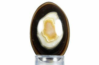 Swirling Polished Chocolate Calcite Egg - Pakistan #350180
