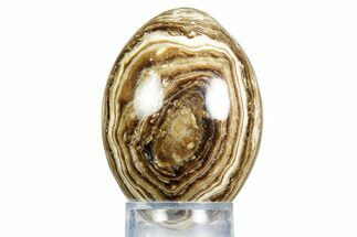 Swirling Polished Chocolate Calcite Egg - Pakistan #350181